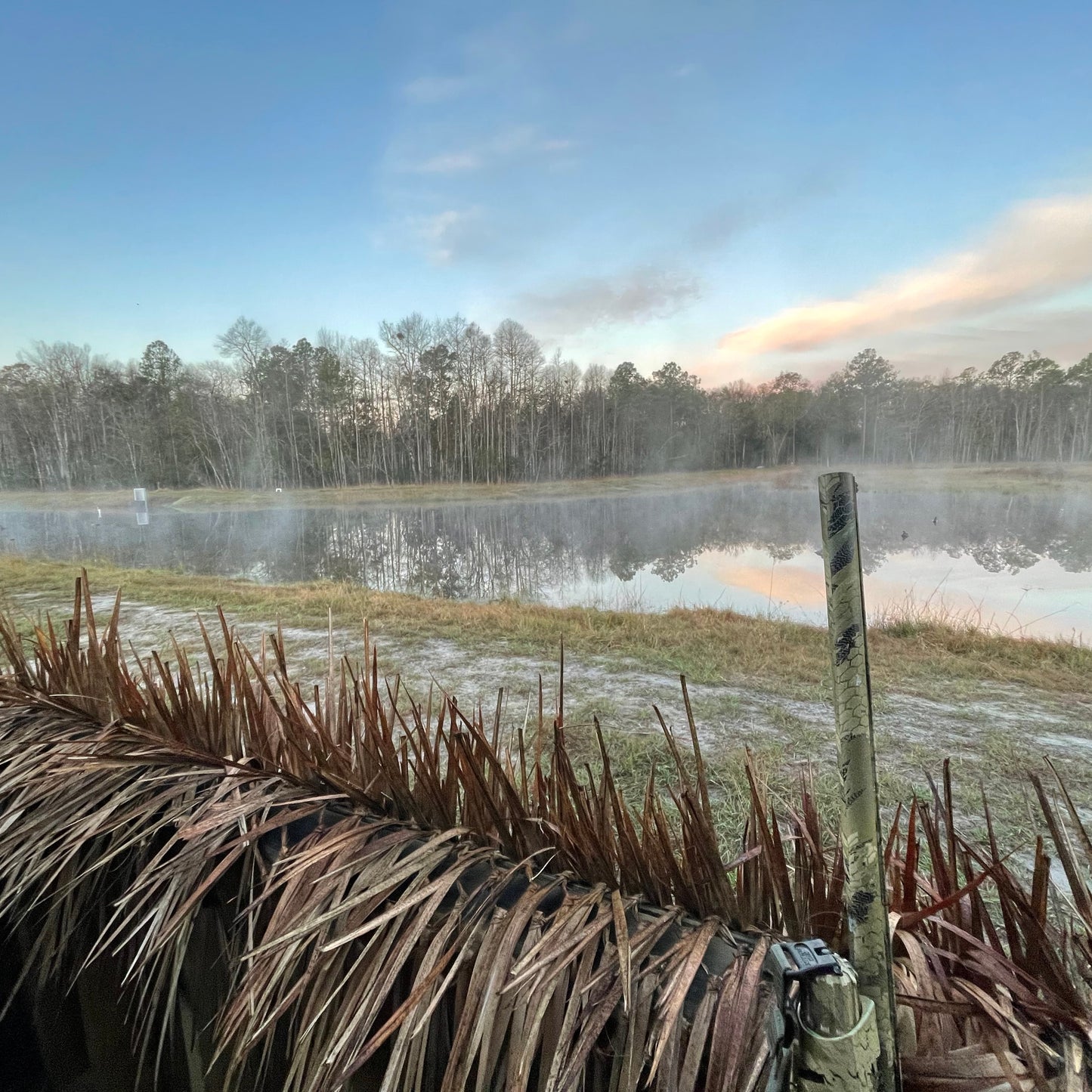 Guided Duck Hunt - Experience an unforgettable morning at Spread Oak Hunting. Whether you’re a seasoned waterfowler or enjoying your first duck hunt, our experienced professional guides are dedicated to providing a safe, enjoyable, and successful hunt.